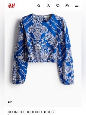 H&M Blue and White Paisley Cropped Top